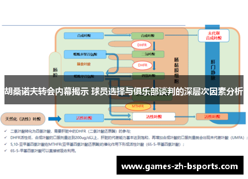 胡桑诺夫转会内幕揭示 球员选择与俱乐部谈判的深层次因素分析