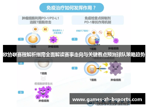 欧协联赛程解析指南全面解读赛事走向与关键看点预测球队策略趋势