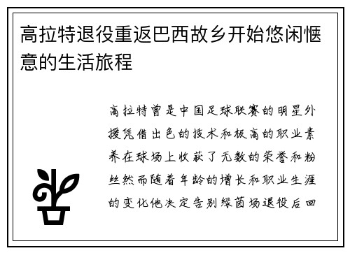 高拉特退役重返巴西故乡开始悠闲惬意的生活旅程